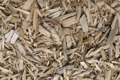 biomass boilers Bunkegivie